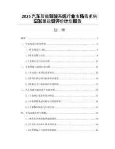 2026汽车智能驾驶系统行业市场需求供应发展投资评价计划报告