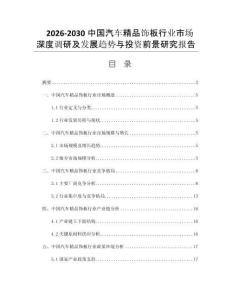2026-2030中国汽车精品饰板行业市场深度调研及发展趋势与投资前景研究报告