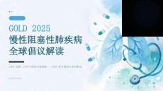 GOLD 慢性阻塞性肺疾病全球倡议 (2025 版) 解读 PPT 课件