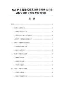 2026汽车智能驾驶系统行业现状技术突破投资分析竞争状况规划报告