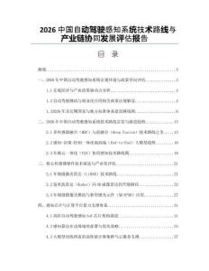 2026中国自动驾驶感知系统技术路线与产业链协同发展评估报告