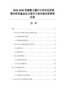 2026-2030布袋除尘器行业市场现状供需分析及重点企业投资评估规划分析研究报告