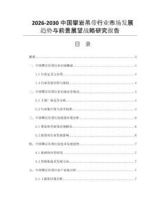 2026-2030中国攀岩吊带行业市场发展趋势与前景展望战略研究报告