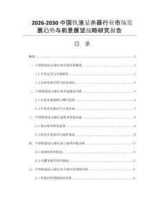 2026-2030中国铁液显示器行业市场发展趋势与前景展望战略研究报告