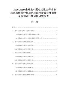 2026-2030全球及中国电动巴士行业市场现状供需分析及市场深度研究发展前景及规划可行性分析研究报告