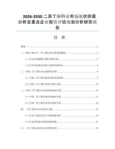 2026-2030二异丁烯行业市场现状供需分析及重点企业投资评估规划分析研究报告