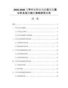 2026-2030马甲行业行业风险投资发展分析及投资融资策略研究报告