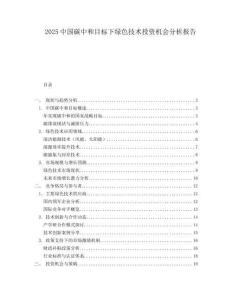 2025中国碳中和目标下绿色技术投资机会分析报告.docx