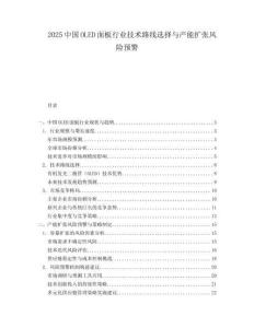 2025中国OLED面板行业技术路线选择与产能扩张风险预警.docx