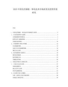 2025中国光伏储能一体化技术市场前景及投资价值研究.docx