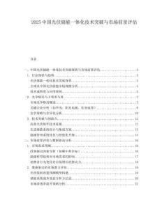 2025中国光伏储能一体化技术突破与市场前景评估.docx