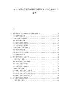 2025中国光伏制氢项目经济性测算与示范案例剖析报告.docx
