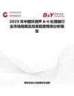 2025年中国环绕声A-V处理器行业市场规模及投资前景预测分析报告