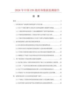 2026年中国CBN烧结体数据监测报告.docx