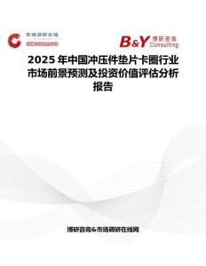 2025年中国冲压件垫片卡圈行业市场前景预测及投资价值评估分析报告
