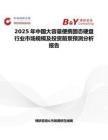 2025年中国大容量便携固态硬盘行业市场规模及投资前景预测分析报告