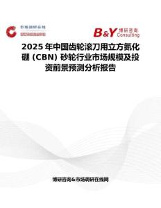 2025年中国齿轮滚刀用立方氮化硼 (CBN) 砂轮行业市场规模及投资前景预测分析报告
