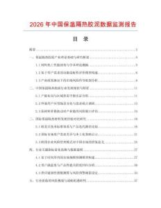 2026年中国保温隔热胶泥数据监测报告.docx