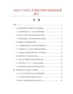 2026年中国大平烫机用钢丝毡数据监测报告.docx