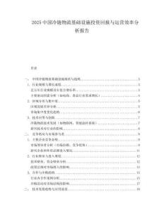2025中国冷链物流基础设施投资回报与运营效率分析报告.docx