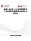 2025年中国128TB 固态硬盘行业市场前景预测及投资价值评估分析报告