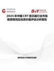 2025年中国CRT显示器行业市场前景预测及投资价值评估分析报告