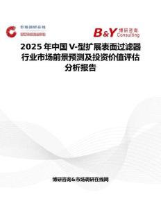 2025年中国V-型扩展表面过滤器行业市场前景预测及投资价值评估分析报告