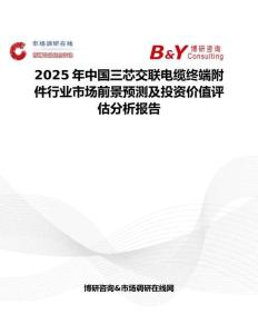 2025年中国三芯交联电缆终端附件行业市场前景预测及投资价值评估分析报告