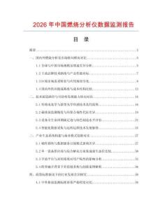 2026年中国燃烧分析仪数据监测报告.docx
