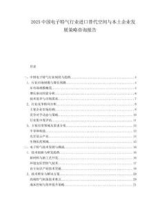2025中国电子特气行业进口替代空间与本土企业发展策略咨询报告.docx