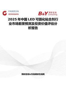 2025年中国LED可固化粘合剂行业市场前景预测及投资价值评估分析报告