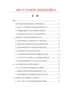2026年中国猪鬃扫把数据监测报告.docx