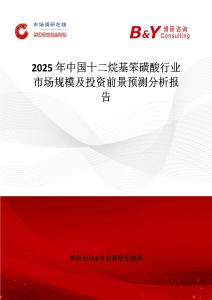 2025年中国十二烷基笨磺酸行业市场规模及投资前景预测分析报告