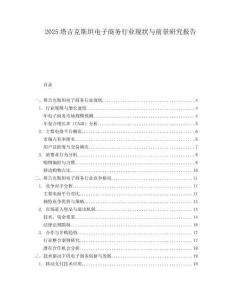 2025塔吉克斯坦电子商务行业现状与前景研究报告.docx