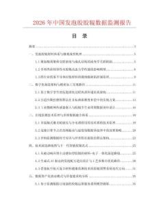 2026年中国发泡胶胶辊数据监测报告.docx