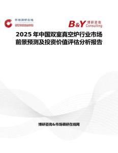 2025年中国双室真空炉行业市场前景预测及投资价值评估分析报告