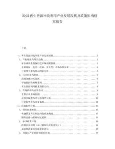 2025再生资源回收利用产业发展现状及政策影响研究报告.docx