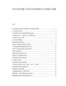 2025医疗影像AI软件注册审批难点与市场准入策略.docx