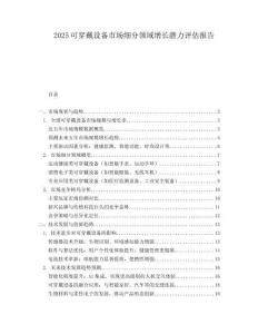 2025可穿戴设备市场细分领域增长潜力评估报告.docx