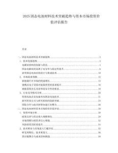 2025固态电池材料技术突破趋势与资本市场投资价值评估报告.docx