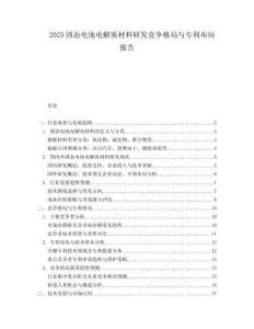 2025固态电池电解质材料研发竞争格局与专利布局报告.docx