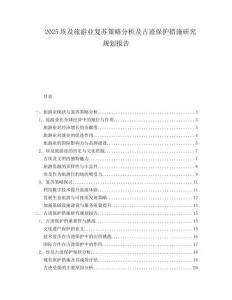 2025埃及旅游业复苏策略分析及古迹保护措施研究规划报告.docx