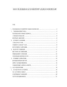 2025埃及旅游业安全风险管理与危机应对政策分析.docx