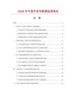 2026年中国手皮包数据监测报告.docx