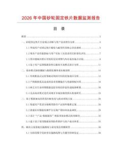 2026年中国砂轮固定铁片数据监测报告.docx
