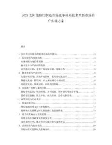 2025太阳能路灯制造市场竞争格局技术革新市场推广实施方案.docx