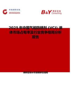 2025年中国气相防锈剂 (VCI) 液体市场占有率及行业竞争格局分析报告