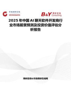 2025年中国AI聊天软件开发商行业市场前景预测及投资价值评估分析报告