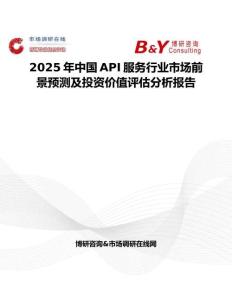 2025年中国API服务行业市场前景预测及投资价值评估分析报告
