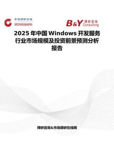 2025年中国Windows开发服务行业市场规模及投资前景预测分析报告